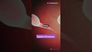 Zygote formation facts science neetreproduction [upl. by Cran538]