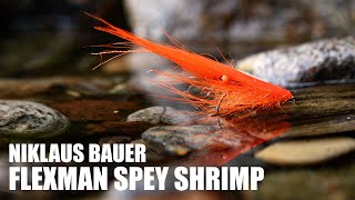 Flexman Spey Shrimp  Niklaus Bauer [upl. by Thgiwd]