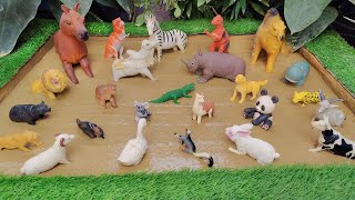 Mud Madness Mission Domestic and Farm Animals in the Sandbox Adventure 🐵🦓 [upl. by Nyrok980]