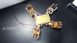 4 Leg Robotic Spider with Artificial Intelligence and IoT [upl. by Haggar]