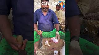 KASIMEDU🔥SPEED SELVAM LETHER JACKET FISH CUTTING VIDEO kasimeduselvam fishcutting youtubeshorts [upl. by Irby]