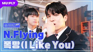 LIVE 엔플라잉NFlying  폭망I Like You  그동안 잘 참았는데😒 결국 엔플라잉에 덕통사고🚗  플리예고LIVE [upl. by Aenit118]