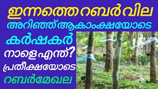 ഇന്നത്തെ റബ്ബർ വില ഇനിയെന്ത് സംഭവിക്കും ആകാംക്ഷയോടെ കർഷകർ  Rubber price in Kerala [upl. by Annalla34]