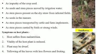 Phanerogamic Plant Parasites [upl. by Pirbhai]