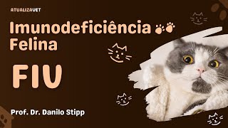 Imunodeficiência Felina FIV  AtualizaVet [upl. by Eltsirc]