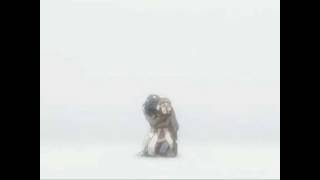 Clannad OST 2 01 Snowfield 雪野原 Yuki Nohara [upl. by Dasie]