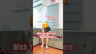 Wish You Were Here  Incubus Cover cover incubus shorts shortsvideo wishyouwerehere short [upl. by Michiko]