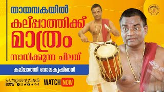 ബാലകൃഷ്ണേട്ടന് മാത്രം പറ്റുന്ന ചിലത്😇❤️👌  Chenda Thayambaka by Kalpathy Balakrishnan [upl. by Ayanad]