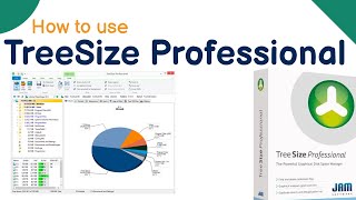 What is TreeSize Professional software  How to use  Tutorial in Hindi  Full explained  TreeSize [upl. by Magena]