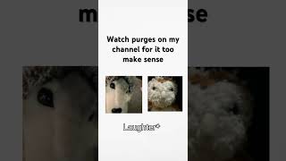 Watch purges on my channel funny idontknowwhattoputhere comedymemes foryou heydidyouseethisone [upl. by Oringas]