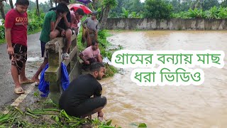 গ্রামে বন্যায় মাছ ধরার ভিডিওCumilla Bonna Video 2024 [upl. by Silver378]