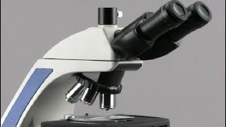 AmScope T720 40X 1000X Plan Infinity Kohler Laboratory Trinocular Compound Microscope Review [upl. by Yecad]