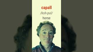 How to say Horse in Irish bitesizeirish [upl. by Talyah]