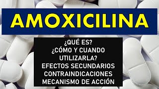 🔴 AMOXICILINA  PARA QUÉ SIRVE EFECTOS SECUNDARIOS CONTRAINDICACIONES MECANISMO DE ACCIÓN [upl. by Llekcir763]