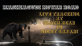 Moyar road Masinagudi forest at sloth bear live night tracking masinagudi mudumalai ooty nilgiri [upl. by Gnoy]