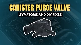 I Fixed My Cars Canister Purge Valve MYSELF and You Can Too [upl. by Olivie508]