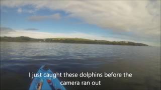 Scottish Kayak Fishing Part 47 Dolphins in Coldingham Bay at end of clip [upl. by Naesar]