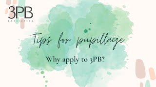 Pupillage at 3PB Barristers  why you should apply [upl. by Curnin936]