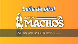 Banda Machos Leña de pirul solo éxito [upl. by Savell]