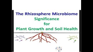 The Rhizosphere Microbiome Significance for Plant Growth and Soil Health [upl. by Nitsrik309]