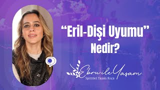 Eril Dişi Uyumu Nedir [upl. by Yelik]