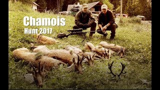 Teaser Chamois Hunting Gamsjagd 2017 [upl. by Aloise]