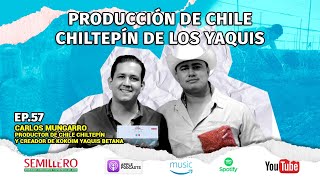 EP 57 Producción de CHILE CHILTEPÍN de los YAQUIS  Carlos Mungarro [upl. by Julia]