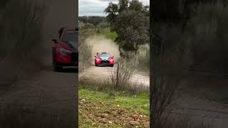 DANI Sordo ATTACK Gravel  🇪🇸 Rallye de Pozoblanco 2024 [upl. by Newmark]