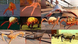 HALFLIFE ALL HEADCRABS SHOWCASE [upl. by Rehpotsirk]