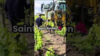 In row cultivator at Château Corbin 🚜🍷 [upl. by Yelwar]