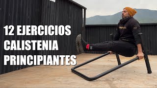 12 EJERCICIOS DE CALISTENIA PARA PRINCIPIANTES  Ideas de Entrenamiento con Barra Media [upl. by Merp]