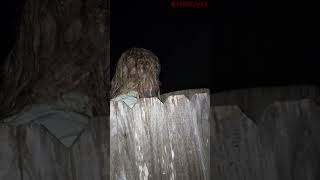 Top 6 momentos paranormales captados en cámara parte 1 paranormal espeluznantes misterio [upl. by Shiekh786]