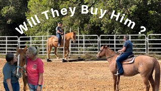 Helping My Student Buy A Horse [upl. by Oicnaneb]