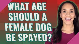 What age should a female dog be spayed [upl. by Ilyssa]