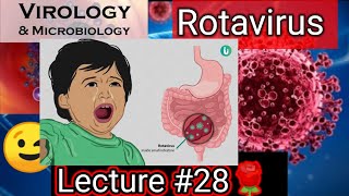 reovirus reovirus replication reovirus family rotavirus rotavirus microbiologyrotavirus vaccine [upl. by Veedis]