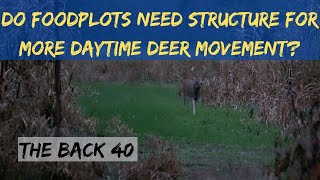 Does Structure in Foodplots Help Daytime Deer Movement After Season Update [upl. by Venetia]