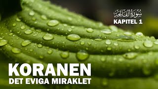 UPPLÄST KORAN  Kapitel 1  alFatiha  INGRESSEN  KORANENS BUDSKAP  koranenpåsvenska [upl. by Nahtanaoj]