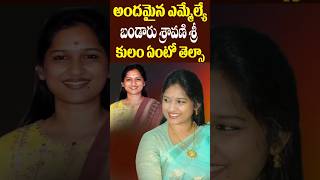 TDP MLA Bandaru Sravani Caste Details  Lifestyle  Singanamala MLA  Tollywood Nagaram [upl. by Phira526]