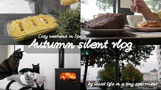 Cozy fall weekend vlog  Autumn silent vlog Spain  Slow living [upl. by Ahseiyt729]