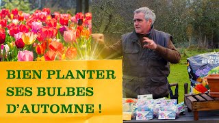 Bulbes dautomne conseils et astuces pour un printemps fleuri floraison disposition outils [upl. by Ynnavoig]