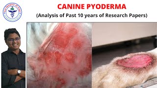 Pyoderma  Canine Diseases  Lecture 01 [upl. by Suoirtemed]