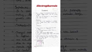 Electrophoresis  Electrophoresis Biochemistry csirnet msczoology [upl. by Cirone]