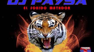 Ingrato Amor  Combo Palacio Limpia DJ PAYSA [upl. by Philipps]