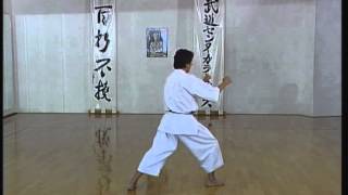 Ji in  Efthimios Karamitsos  Karate  Kata  Shotokan [upl. by Engapmahc]