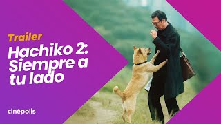 HACHIKO 2 SIEMPRE A TU LADO  TRAILER [upl. by Pillyhp337]