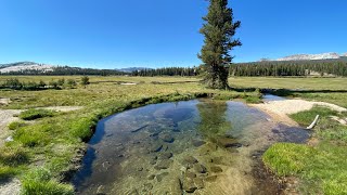 Tuolumne Meadows amp Campground [upl. by Brom614]