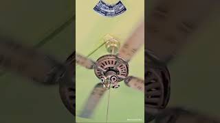 Worlds Loudest 4 Blades Ceiling Fan 🤯😵‍💫 ceilingfan electrodemolish trending informative [upl. by Nyrem171]