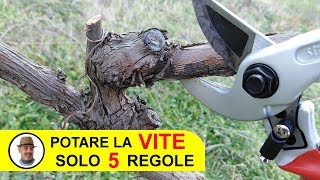 POTARE LA VITE SOLO 5 REGOLE [upl. by Nowell]