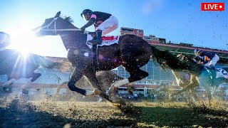 Preakness Stakes 2021 race details how to watch live stream free guide [upl. by Narruc]