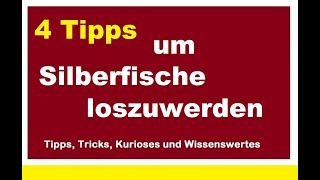 Silberfische loswerden Silberfischchen bekämpfen Hausmittel 4 Tipps Natron ohne Chemie [upl. by Moffit]